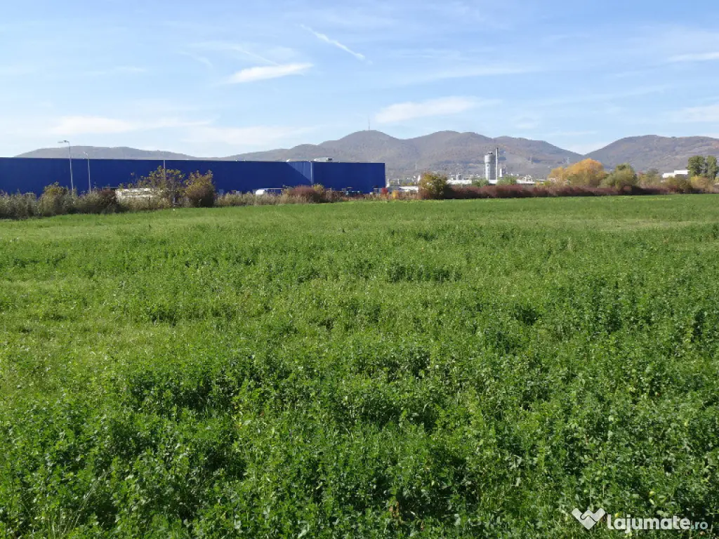 Vand teren intravilan in Deva suprafata totala 43 000 mp, zona Auchan 
