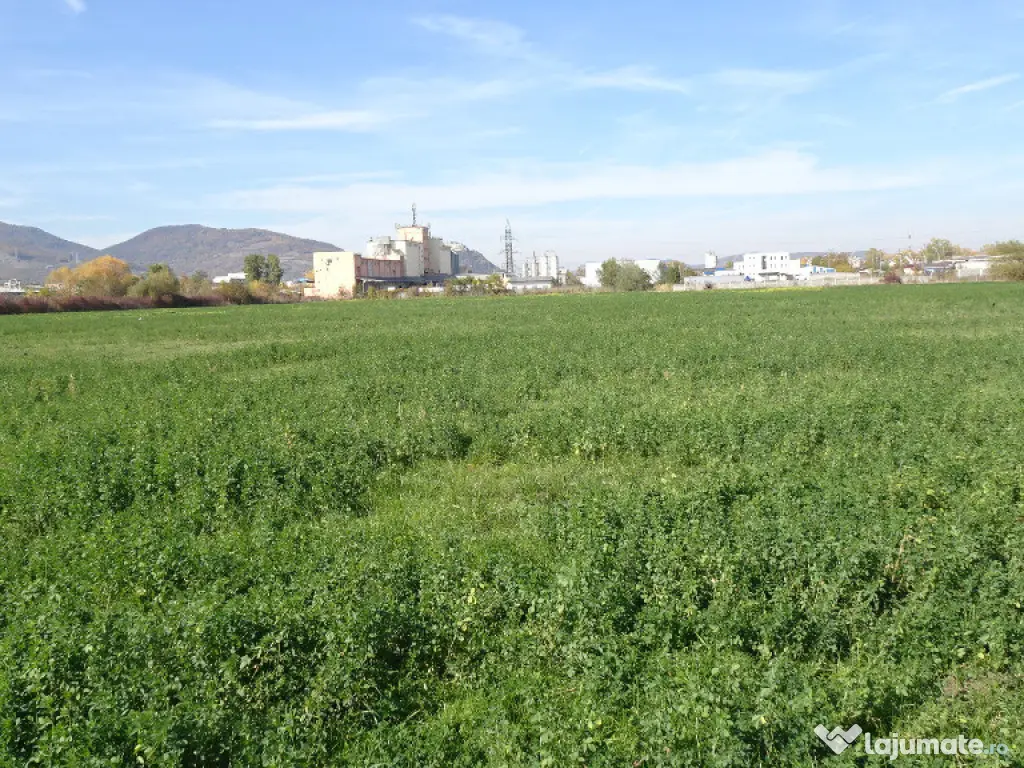 Vand teren intravilan in Deva suprafata totala 43 000 mp, zona Auchan 