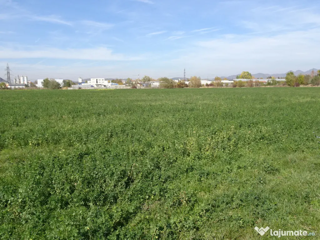 Vand teren intravilan in Deva suprafata totala 43 000 mp, zona Auchan 