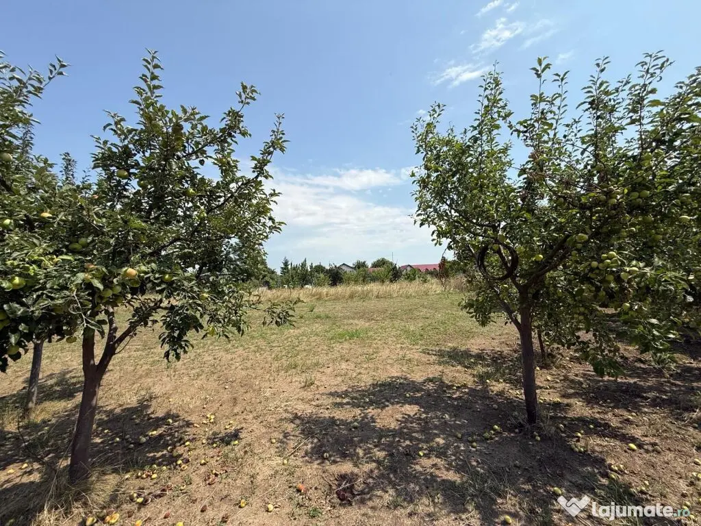 VALEA URSULUI, TEREN INTRAVILAN DE , LA MARGINE DE PADURE 