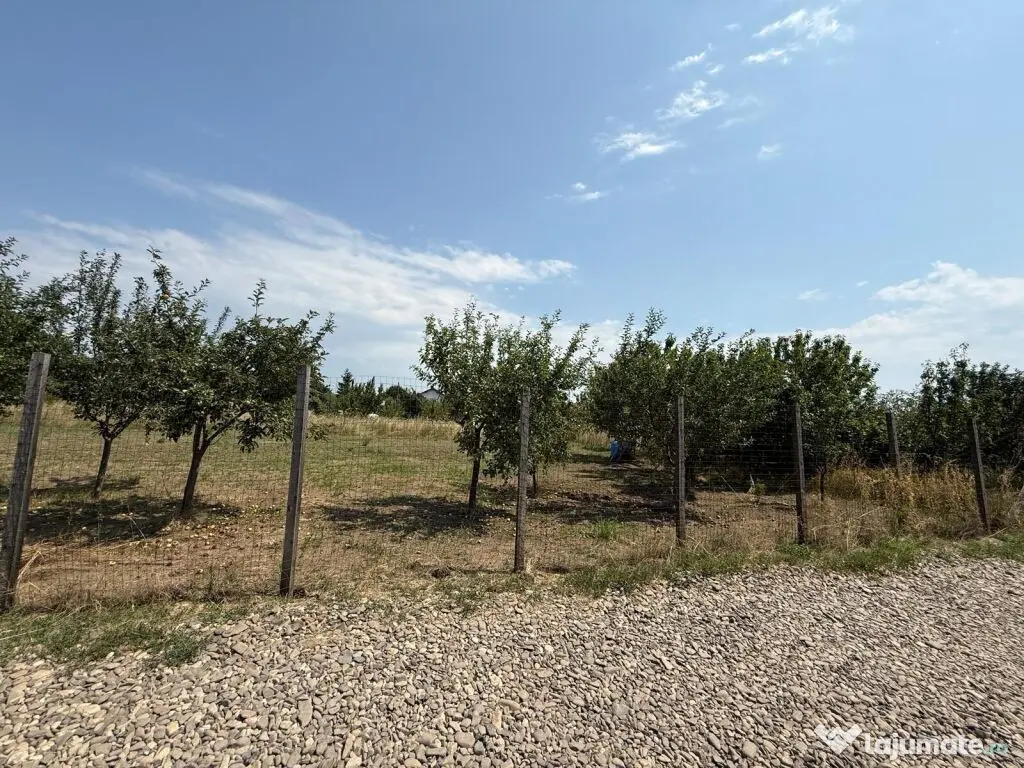 VALEA URSULUI, TEREN INTRAVILAN DE , LA MARGINE DE PADURE 