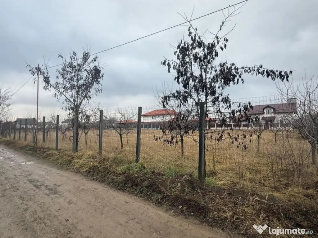 VALEA URSULUI, TEREN INTRAVILAN DE , LA MARGINE DE PADURE 