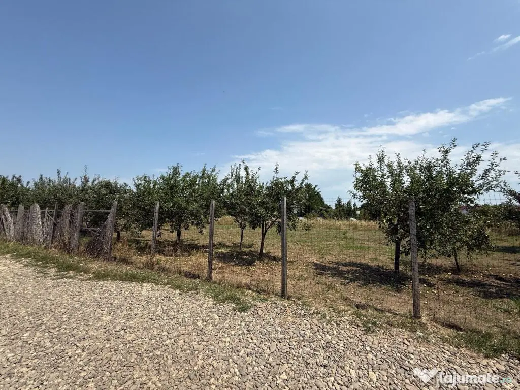 VALEA URSULUI, TEREN INTRAVILAN DE , LA MARGINE DE PADURE 