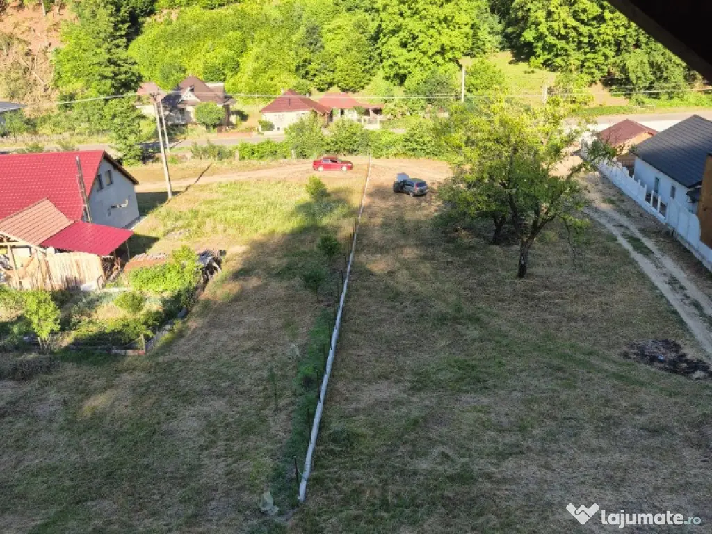 Ilba, casa caramida, 40 ari teren 