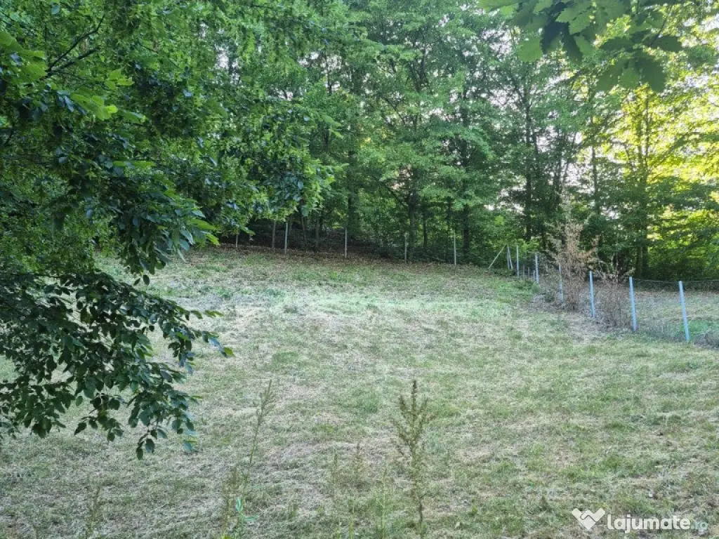 Ilba, casa caramida, 40 ari teren 