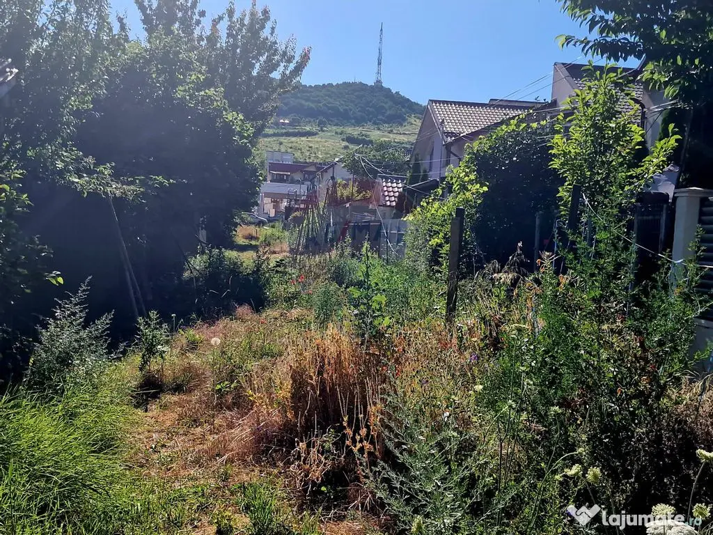 Teren intravilan Piatra Neamt