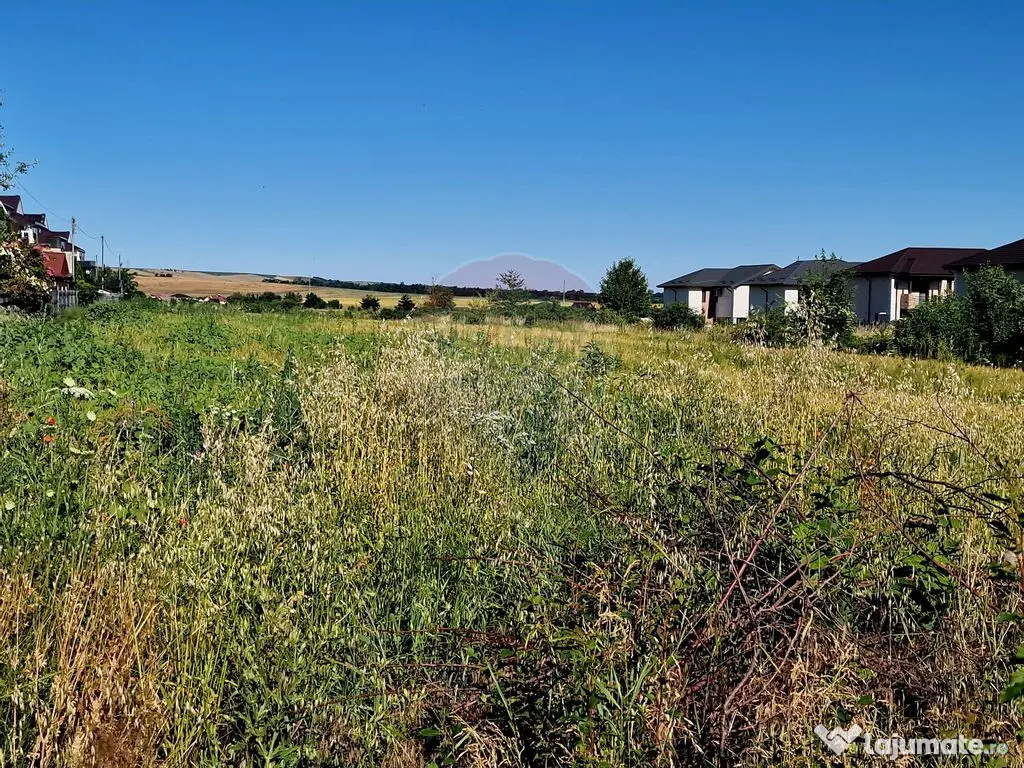 Teren intravilan Piatra Neamt