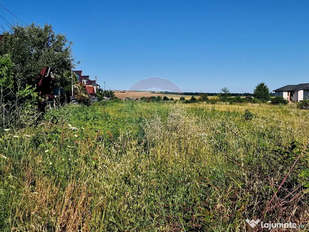Teren intravilan Piatra Neamt