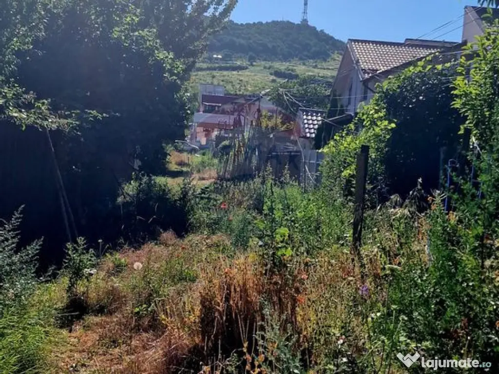 Teren intravilan Piatra Neamt