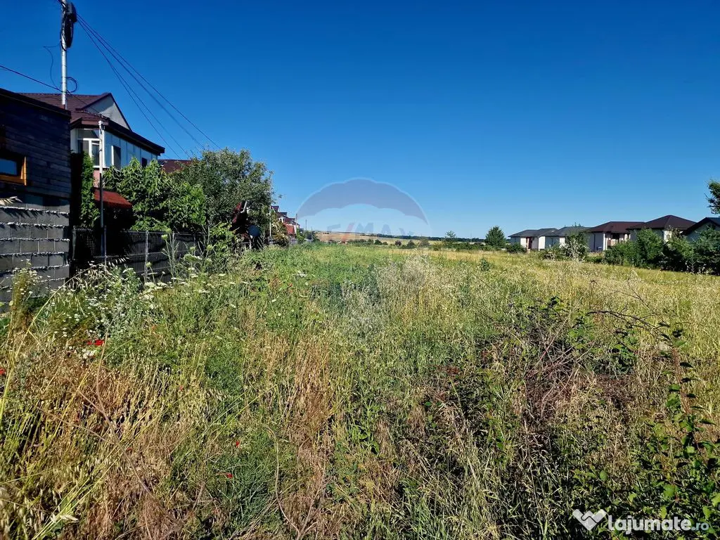 Teren intravilan Piatra Neamt