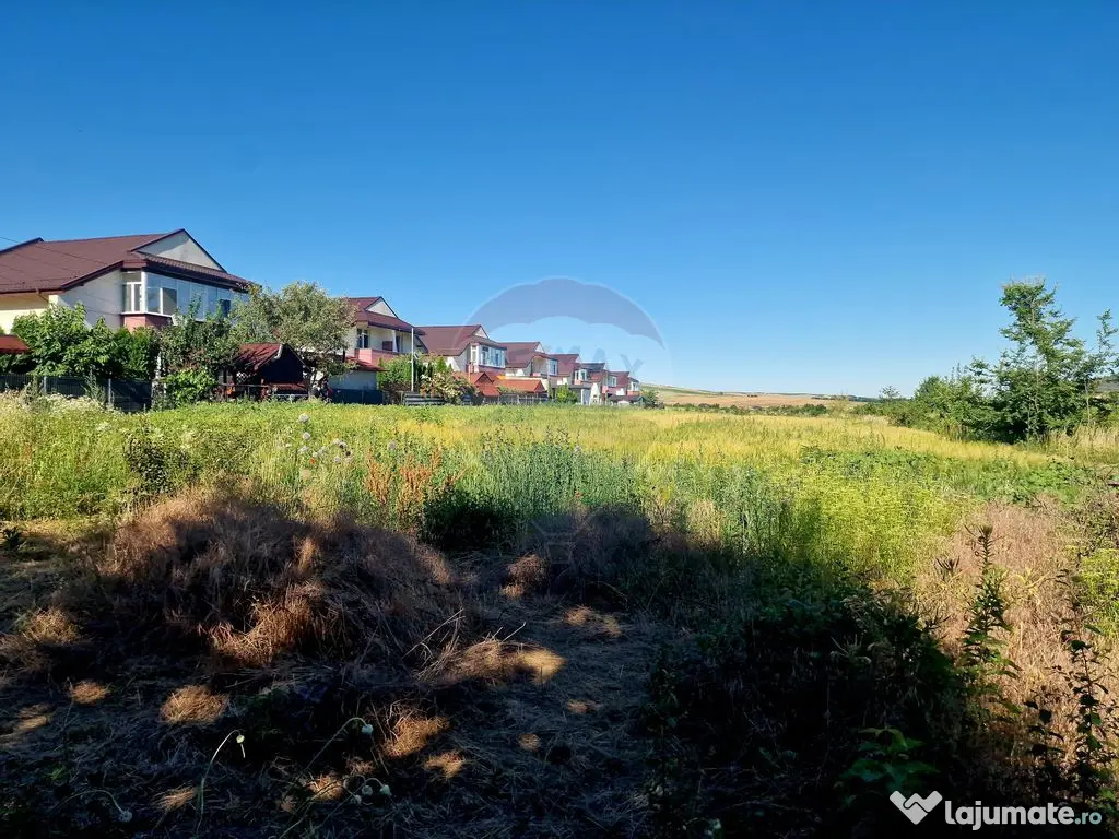 Teren intravilan Piatra Neamt