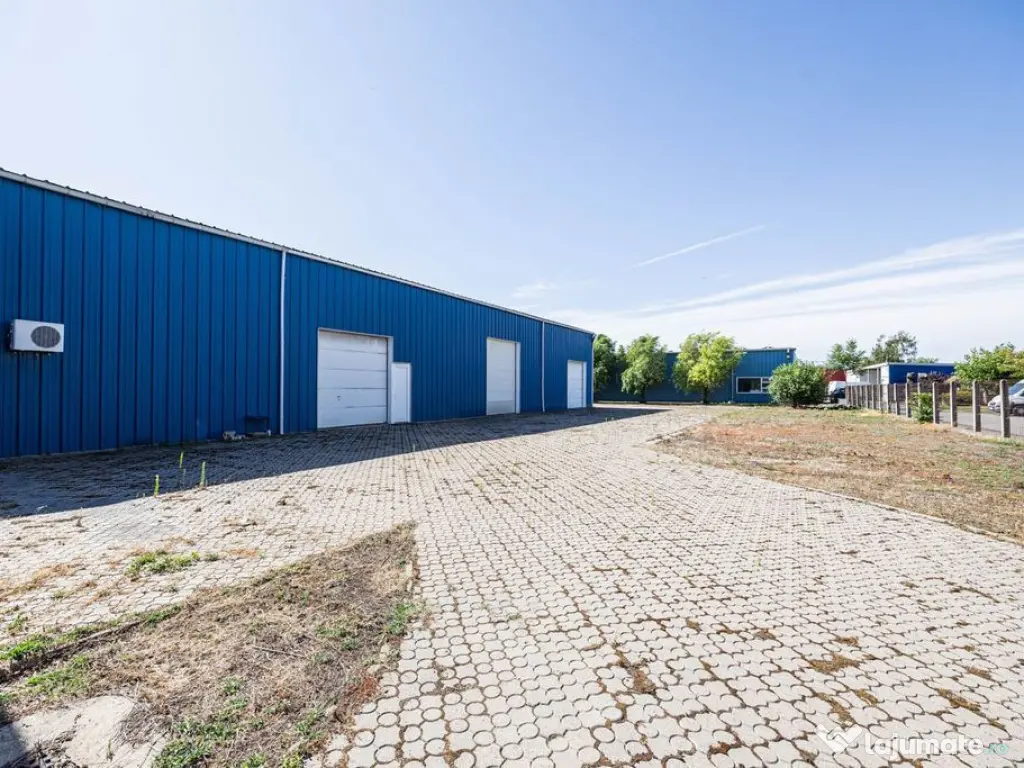 Reprezentanță auto de vânzare – Arad, Zona Industria... 