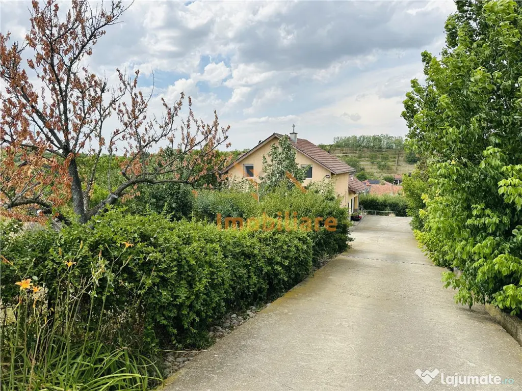 CASA P M | TEREN 2200 MP | STRADA SOFIEI | ZONA DEALURI