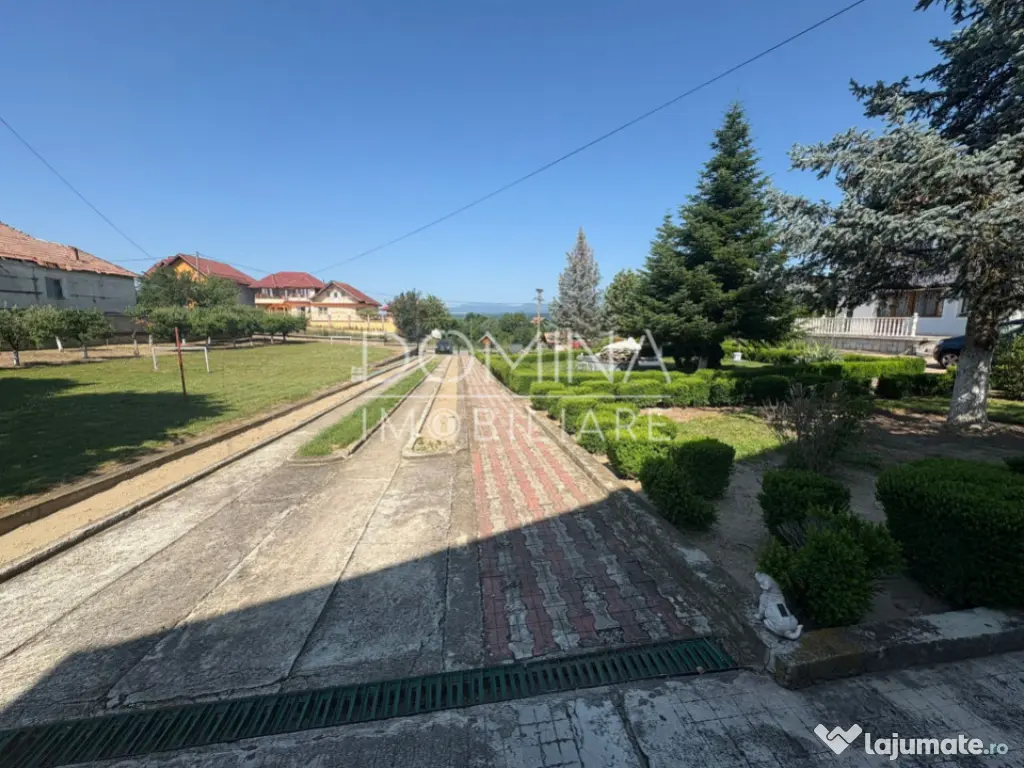 *Conac impresionant* - pretabil reședință sau business