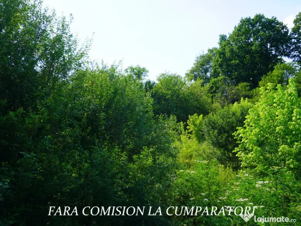 CASA CU TEREN 1730 MP, UTILITATI RACORDATE 