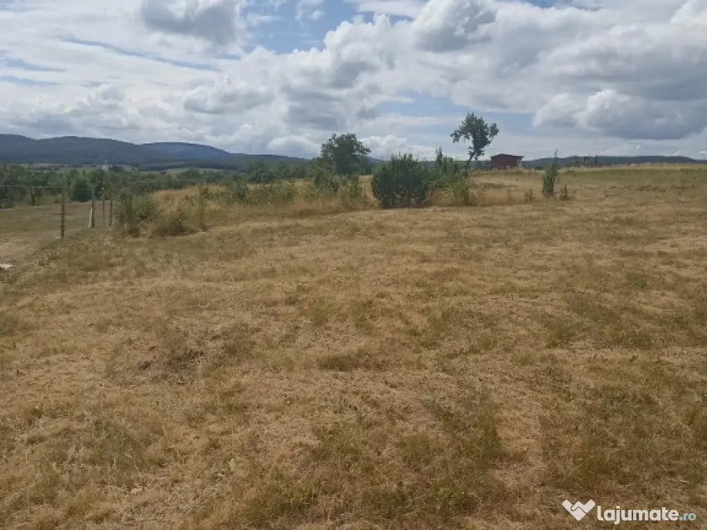 De vânzare teren extravilan în Valea Crisului