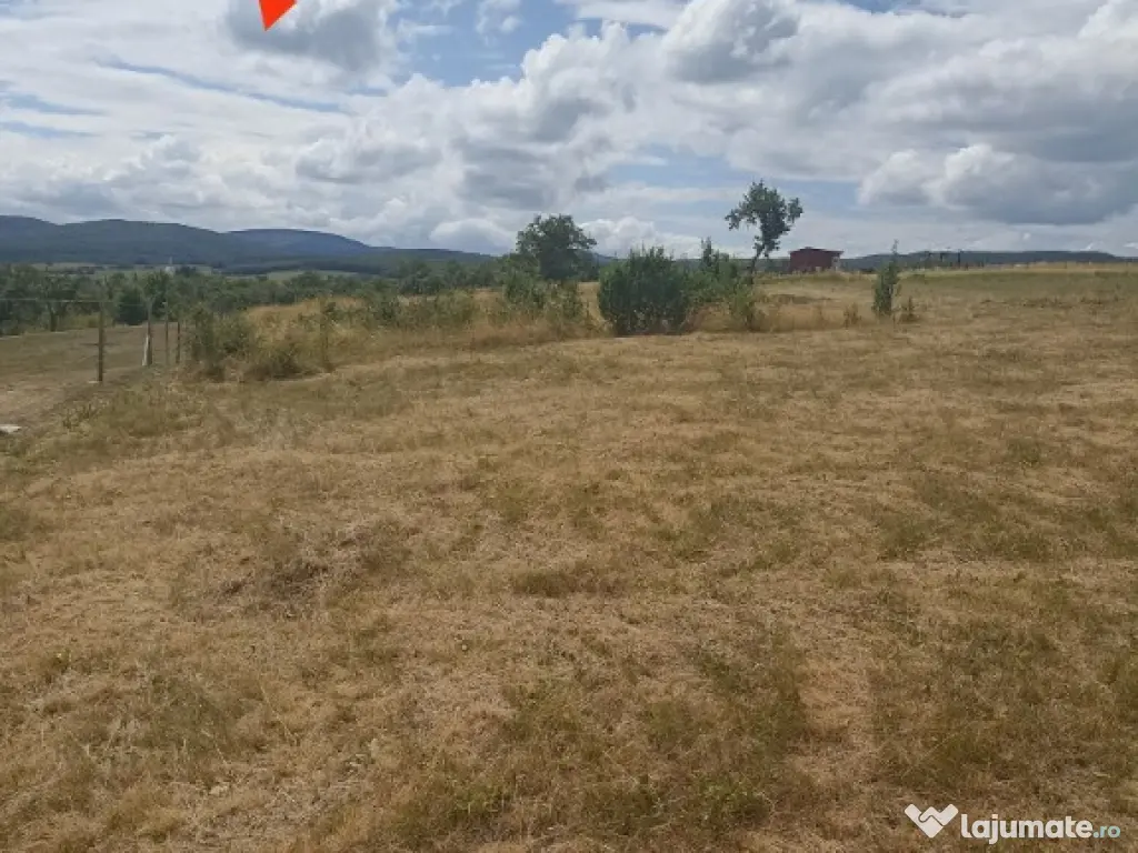 De vânzare teren extravilan în Valea Crisului