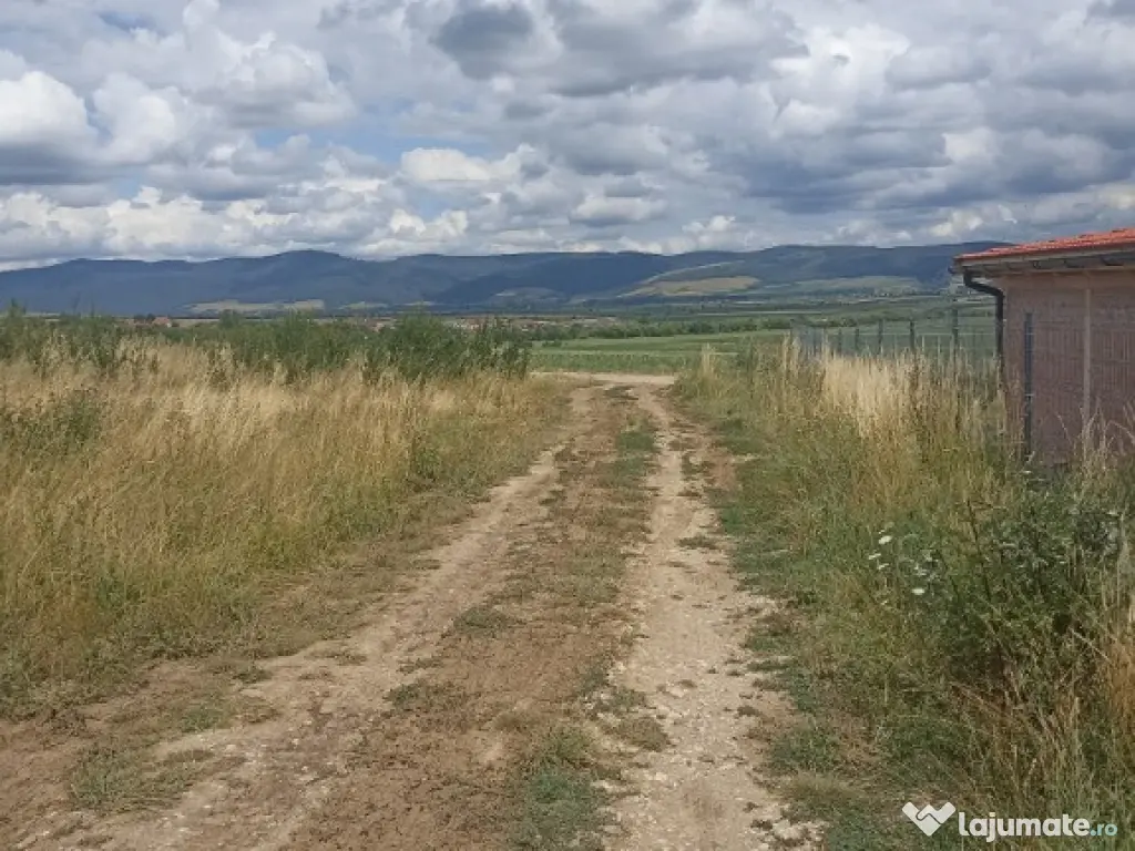 De vânzare teren extravilan în Valea Crisului