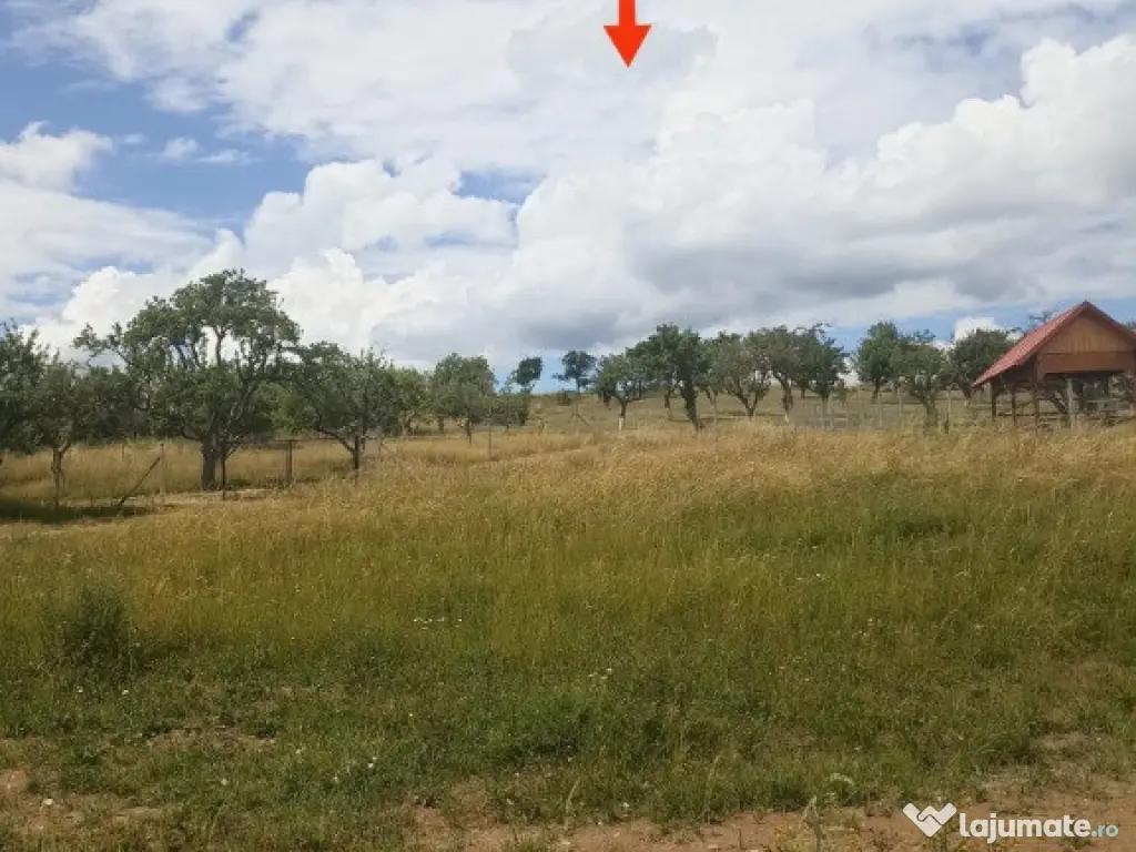 De vânzare teren extravilan în Valea Crisului