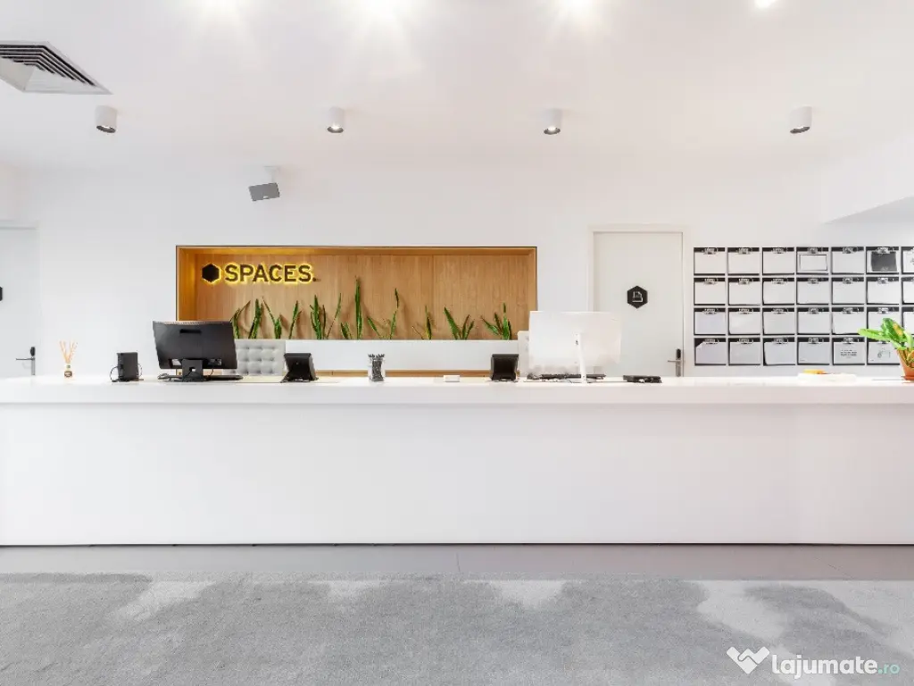Spațiu de birou frumos proiectat pentru 2 persoane în Spaces Unirii