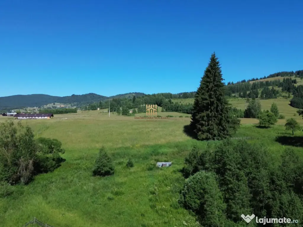 Teren in Bucovina! La Munte! De ! 0727817187 