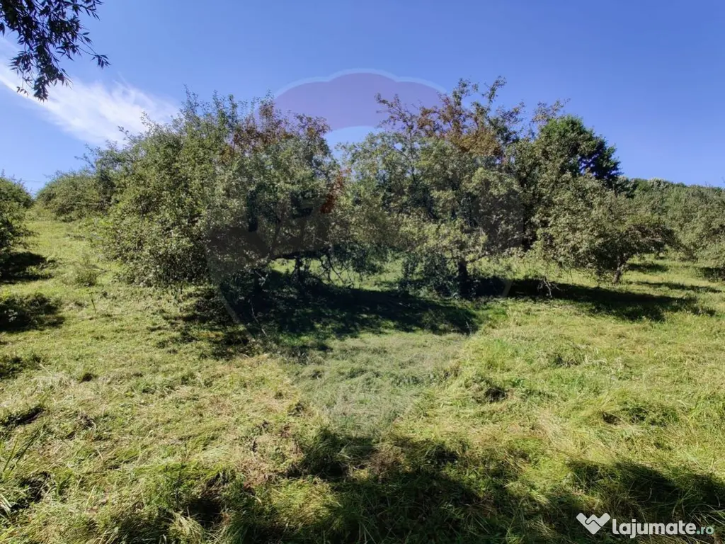 Teren intravilan in Remetea Chioarului 