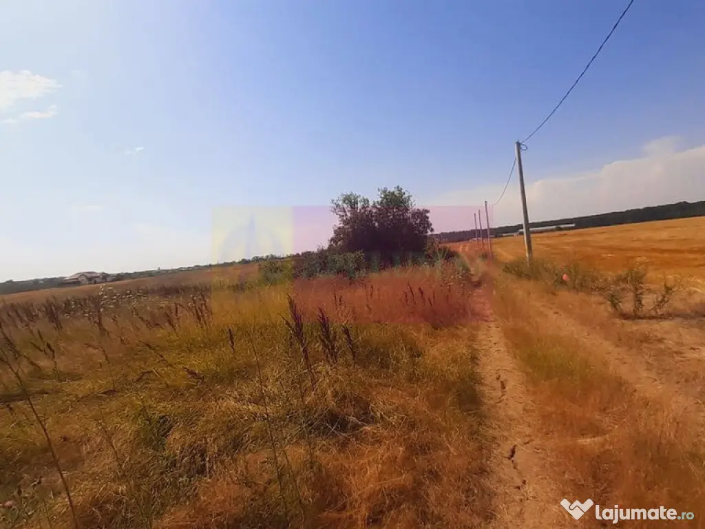 Teren pentru casă/case în Brănești pe strada Toporași