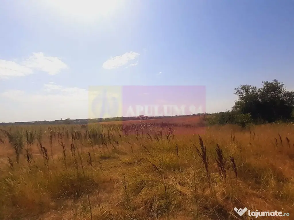 Teren pentru casă/case în Brănești pe strada Toporași