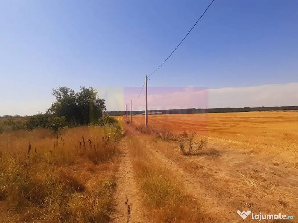 Teren pentru casă/case în Brănești pe strada Toporași