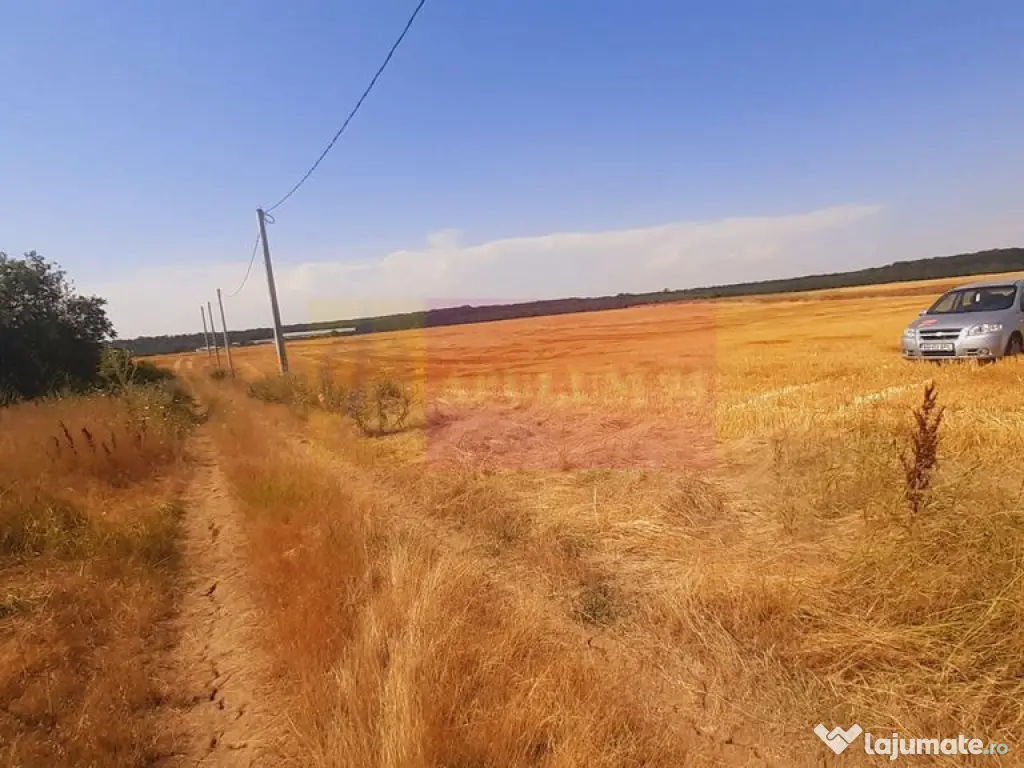 Teren pentru casă/case în Brănești pe strada Toporași