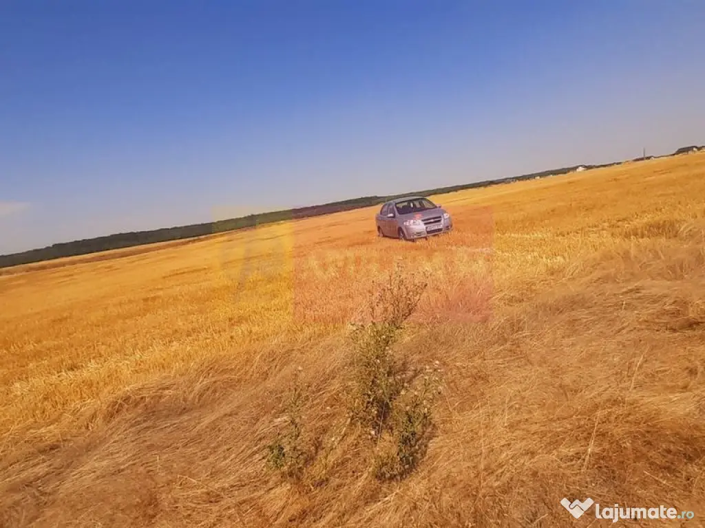 Teren pentru casă/case în Brănești pe strada Toporași