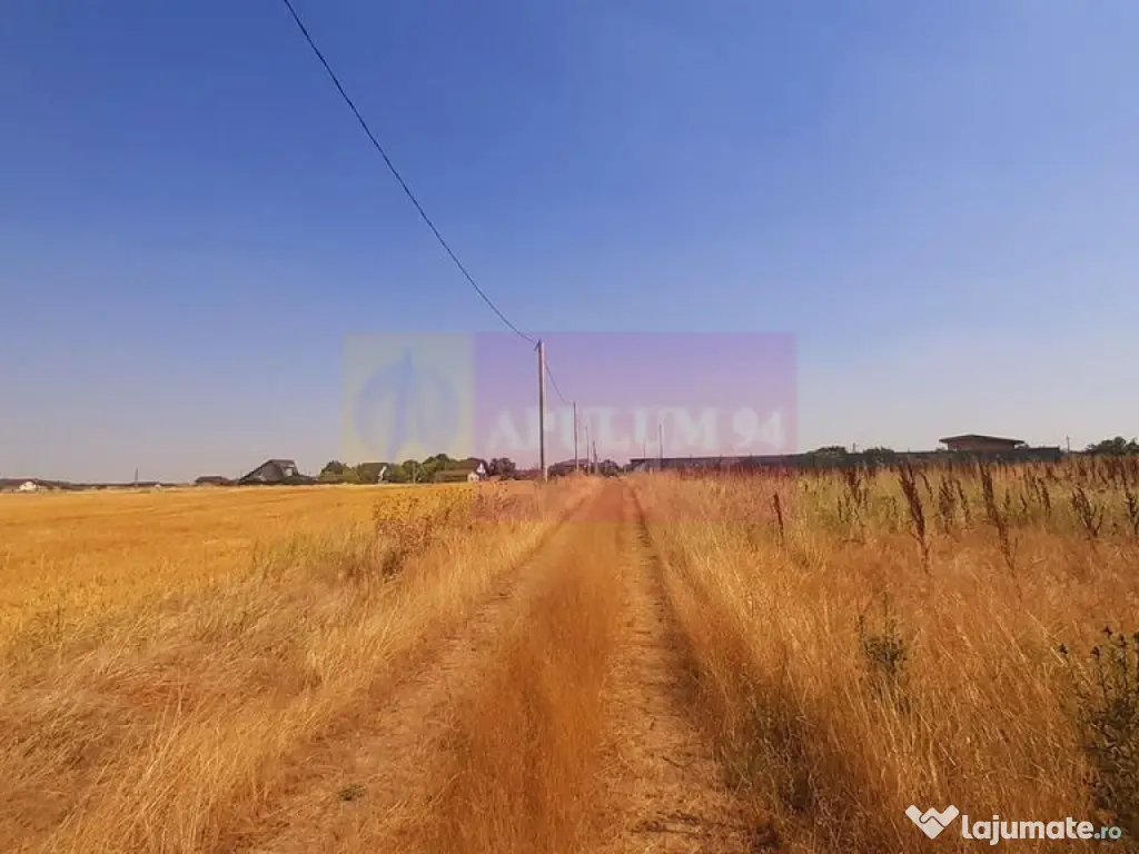 Teren pentru casă/case în Brănești pe strada Toporași