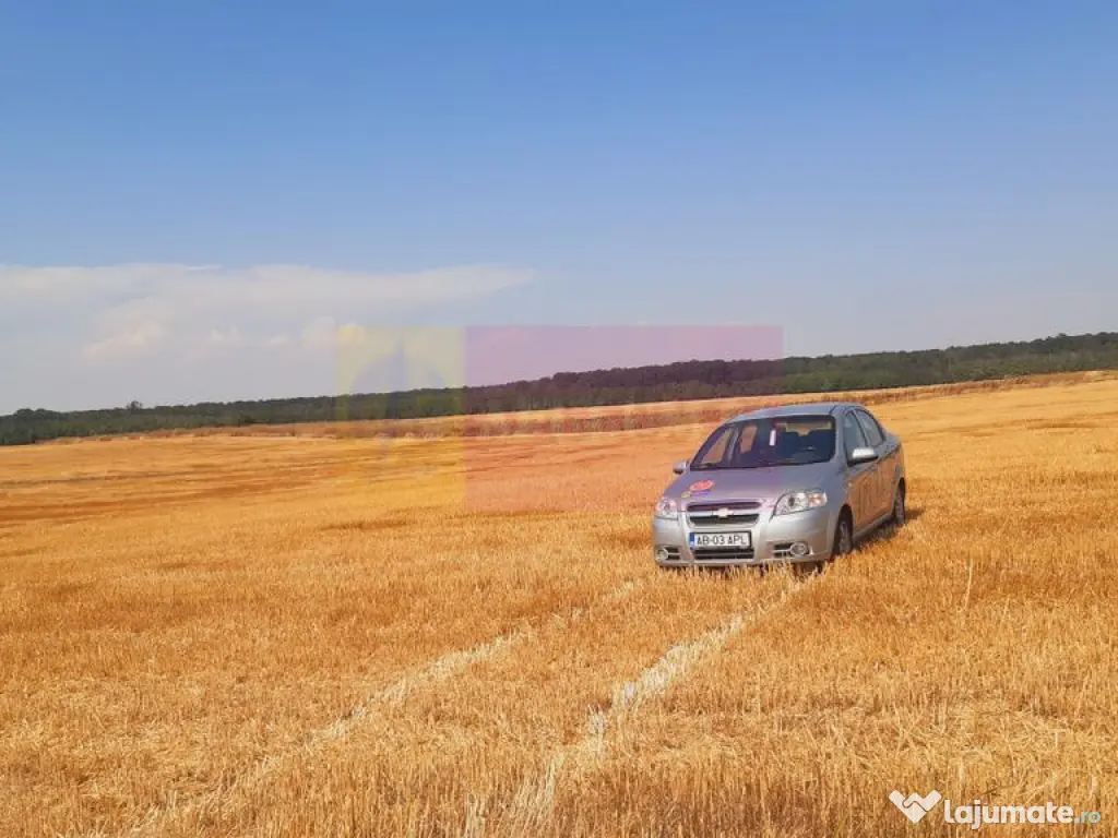 Teren pentru casă/case în Brănești pe strada Toporași