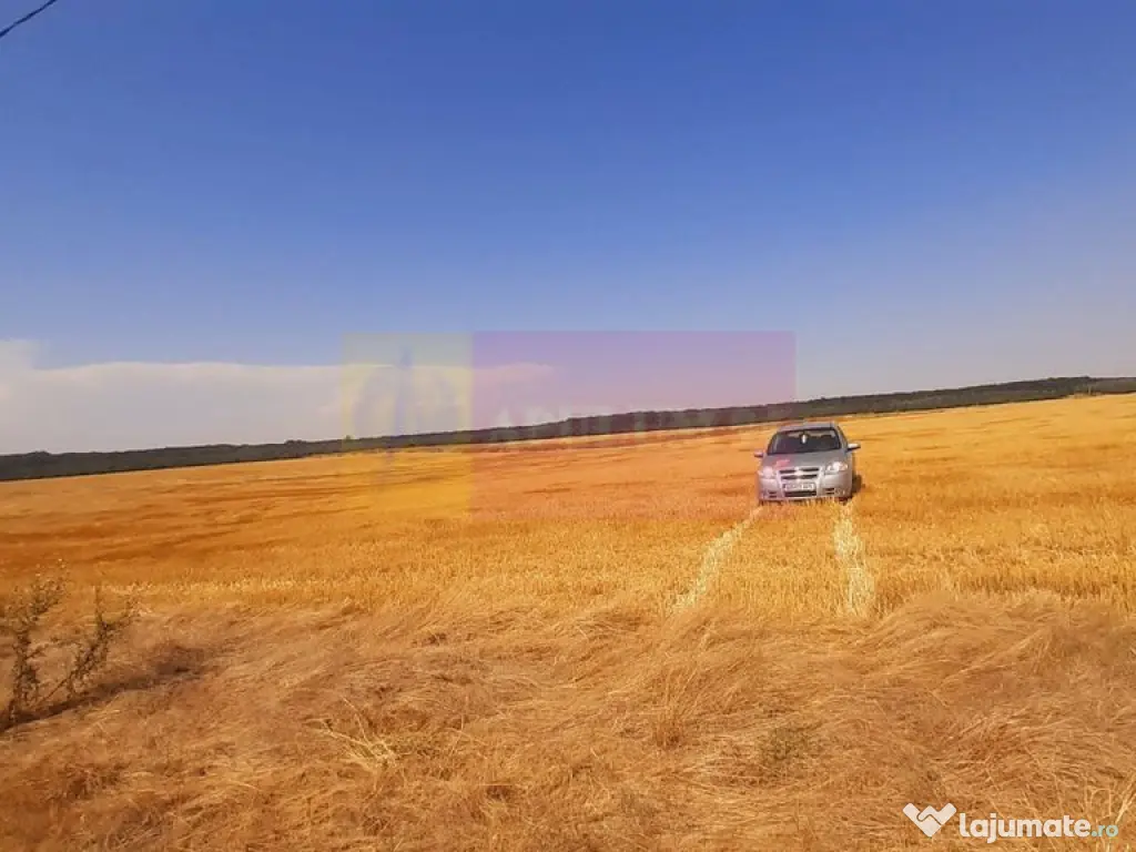 Teren pentru casă/case în Brănești pe strada Toporași