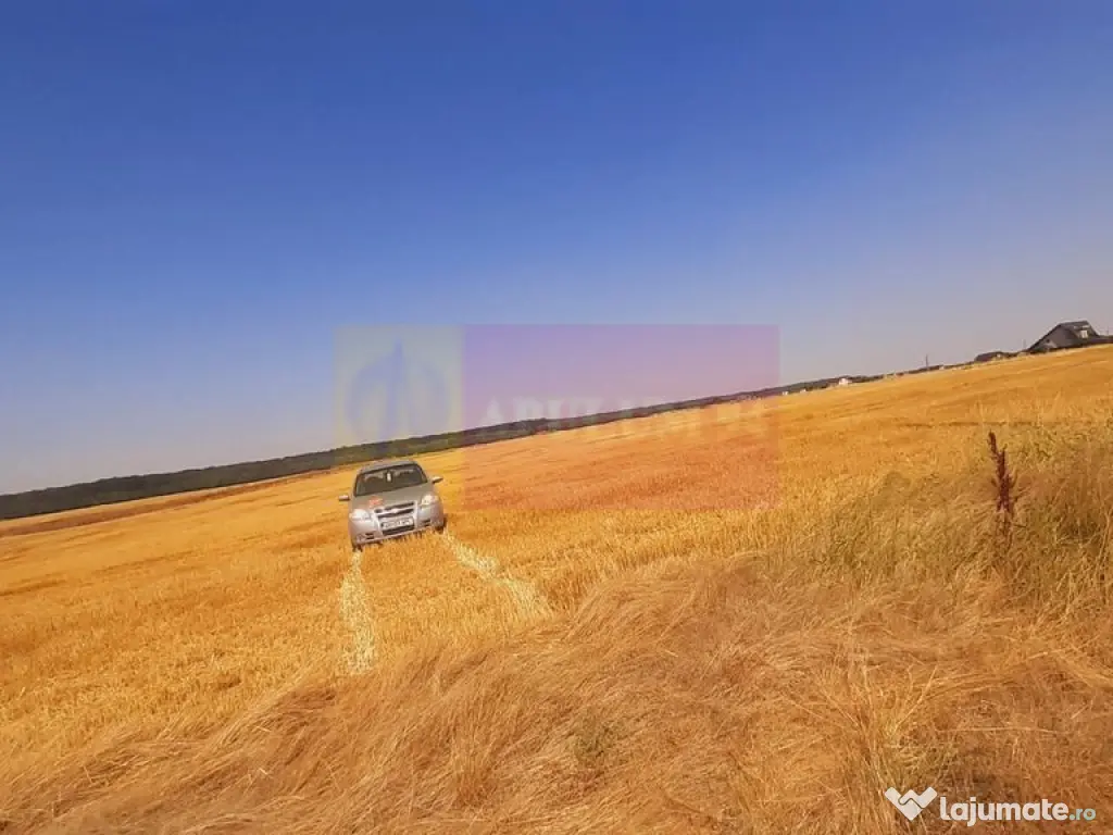 Teren pentru casă/case în Brănești pe strada Toporași