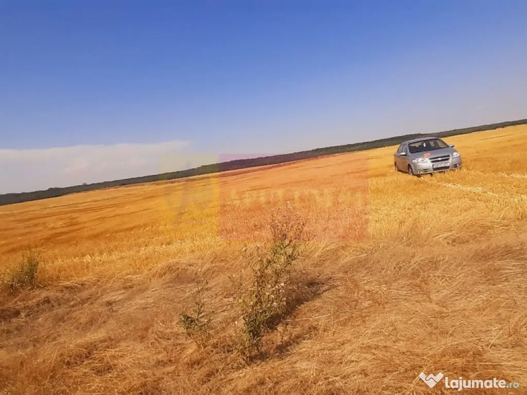 Teren pentru casă/case în Brănești pe strada Toporași