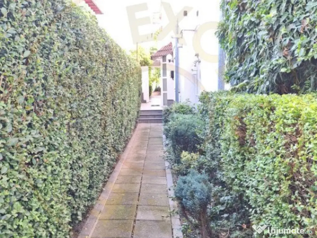 Casa Pitesti Exercitiu zona centrala 