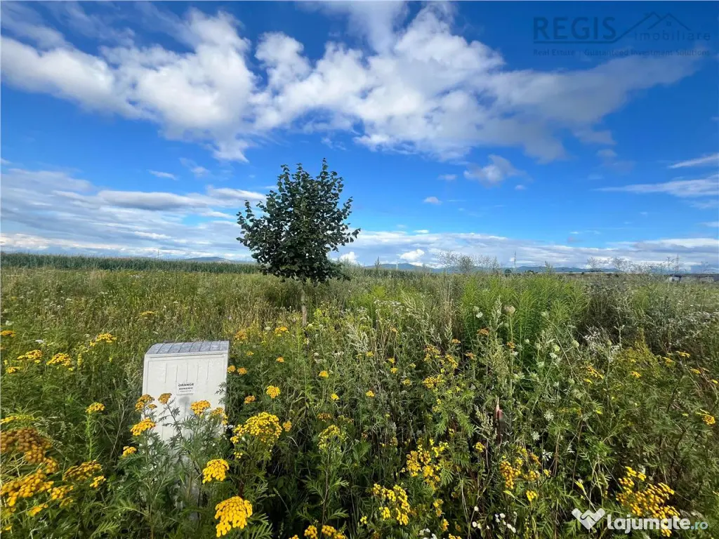 TEREN INTRAVILAN, 500 MP, HARMAN