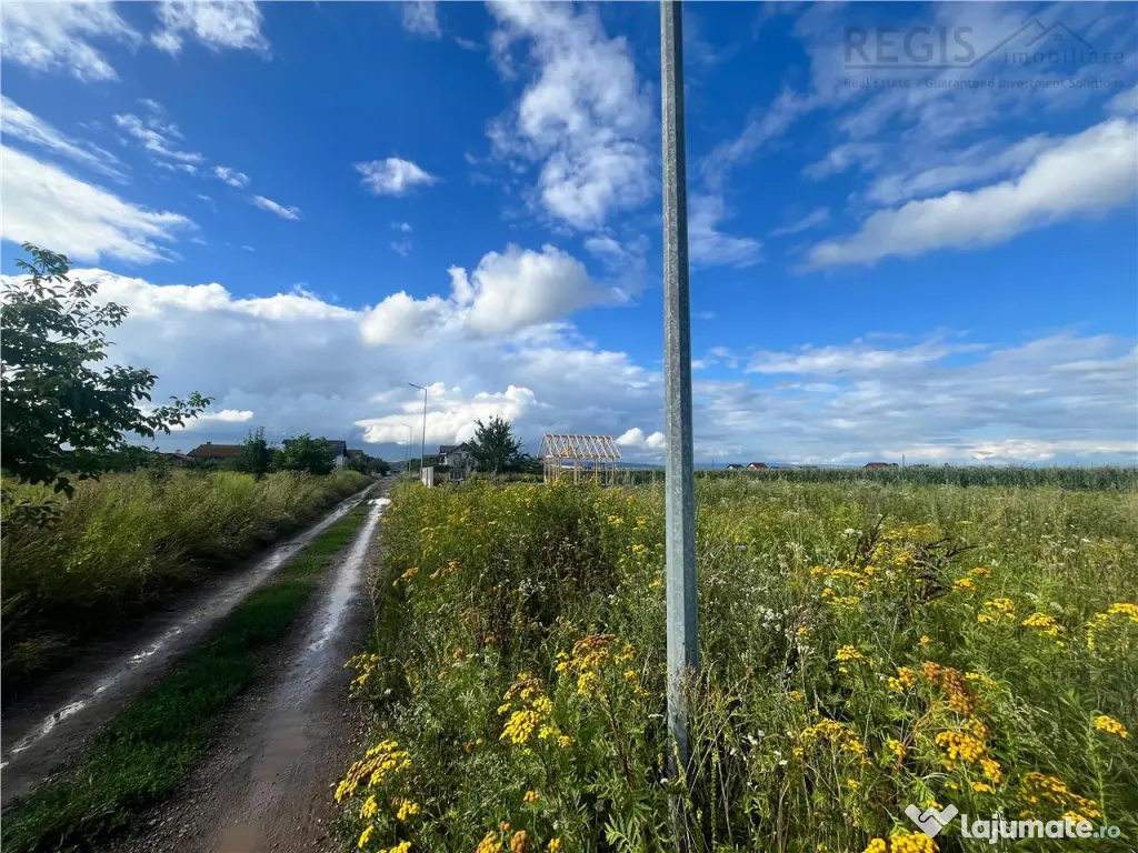 TEREN INTRAVILAN, 500 MP, HARMAN