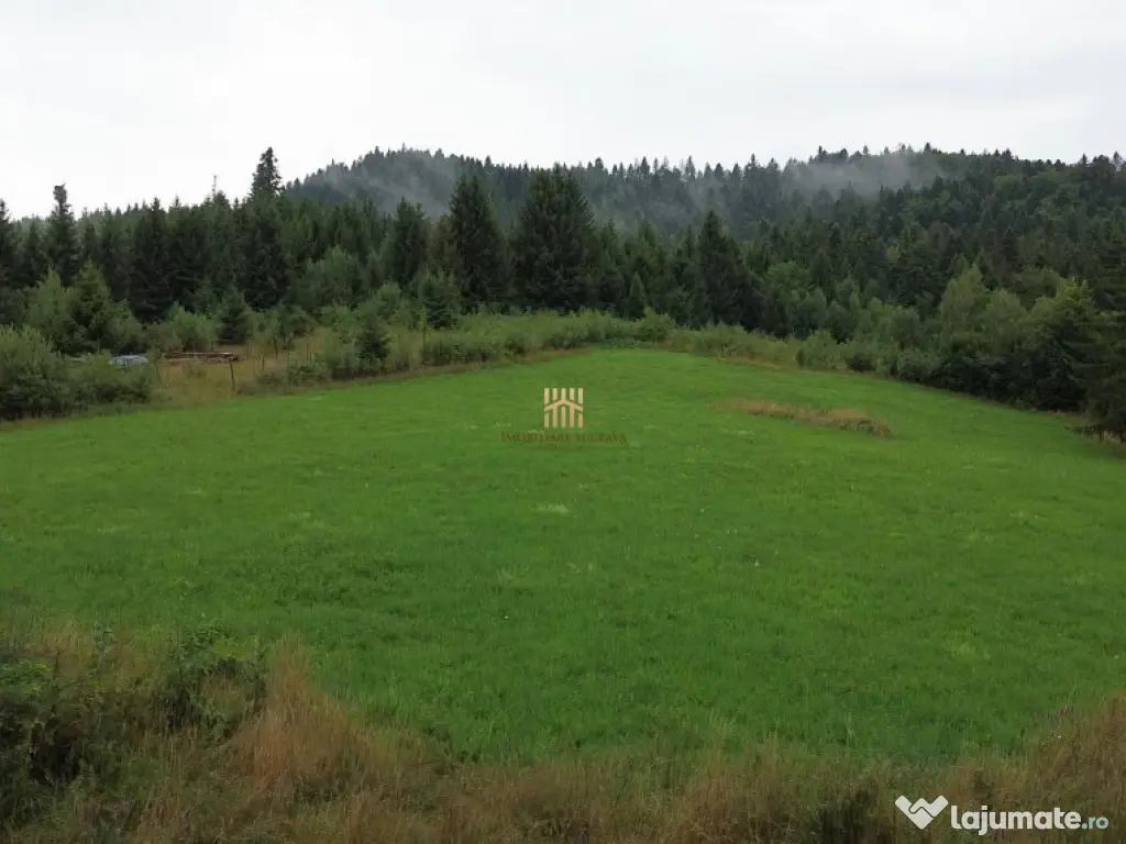 Teren 5023 mp In Bucovina Zona Manastirea Voronet De 07278 