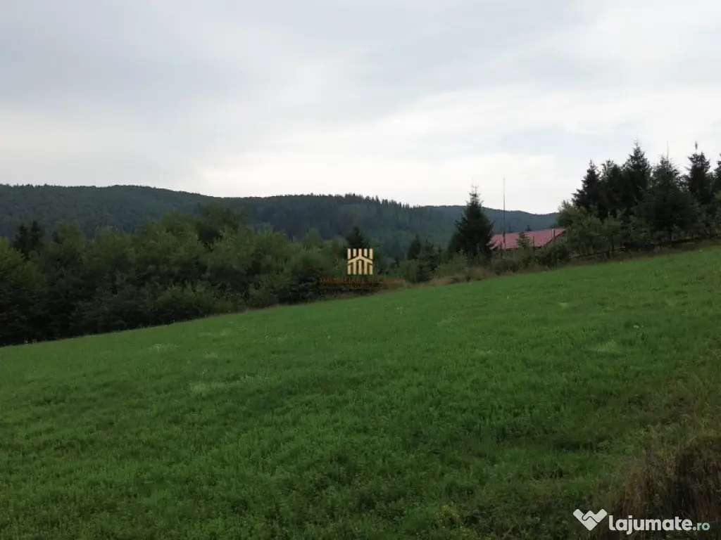 Teren 5023 mp In Bucovina Zona Manastirea Voronet De 07278 