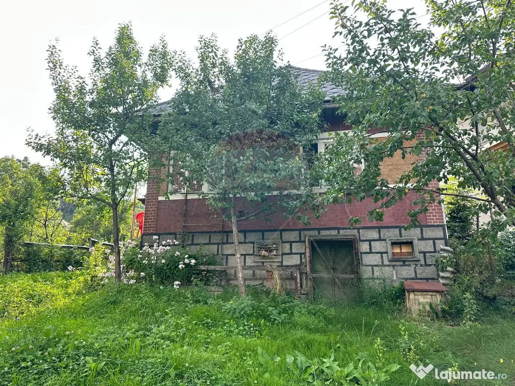 De vanzare GOSPODARIE in BUDESTI/ Maramures 