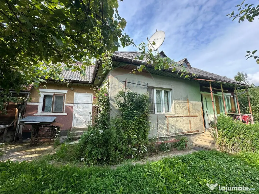 De vanzare GOSPODARIE in BUDESTI/ Maramures 