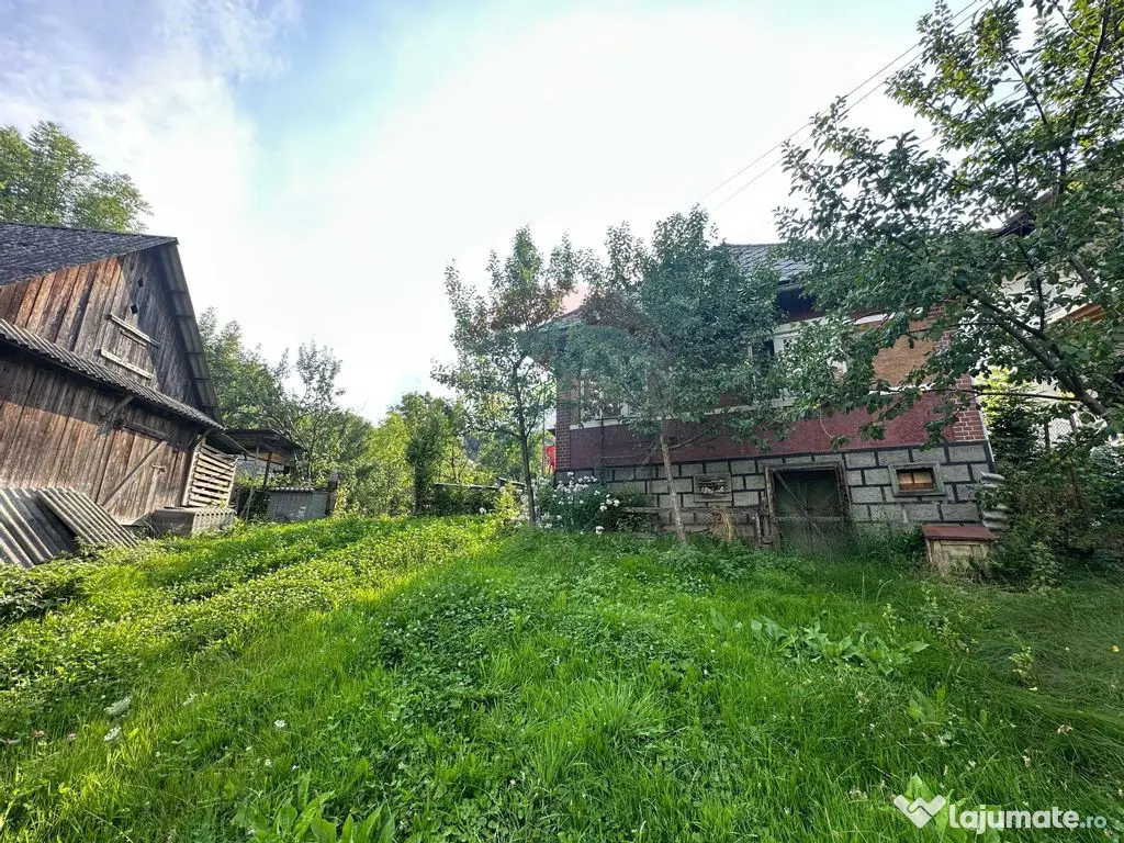 De vanzare GOSPODARIE in BUDESTI/ Maramures 