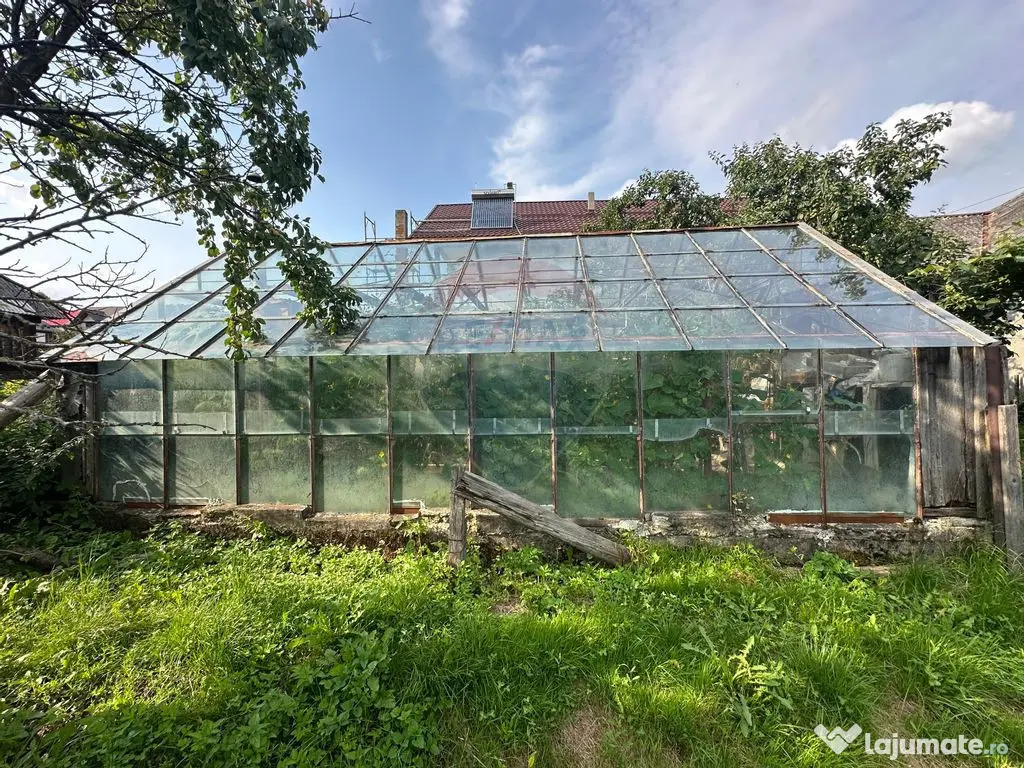 De vanzare GOSPODARIE in BUDESTI/ Maramures 