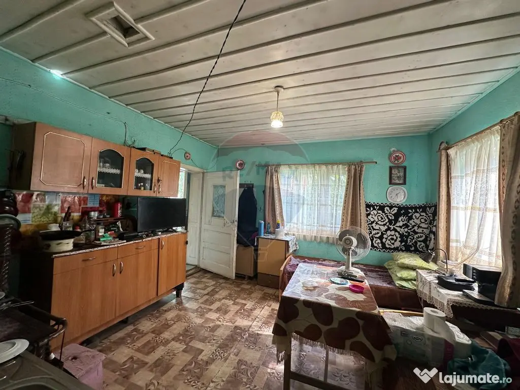 De vanzare GOSPODARIE in BUDESTI/ Maramures 