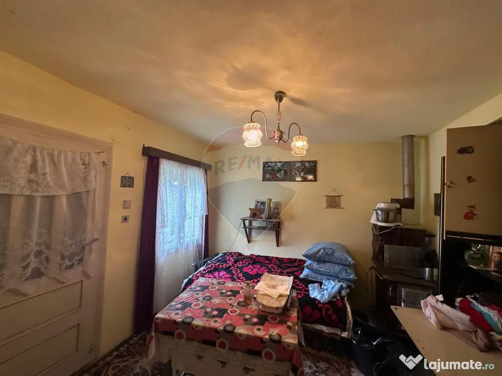 De vanzare GOSPODARIE in BUDESTI/ Maramures 