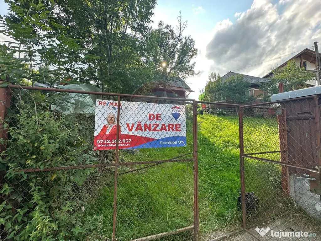 De vanzare GOSPODARIE in BUDESTI/ Maramures 