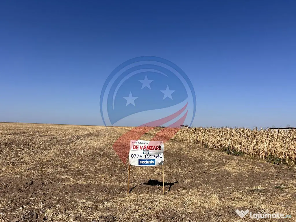 Teren intravilan 5087 mp de vânzare – Pielești 