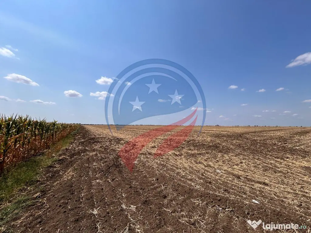 Teren intravilan 5087 mp de vânzare – Pielești 